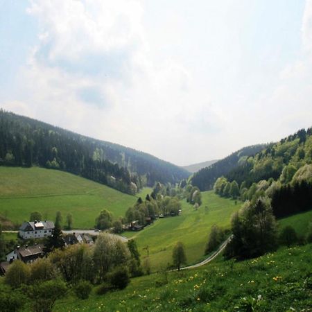 Large Holiday Home In Willingen With Private Garden And Several Terraces Eksteriør billede