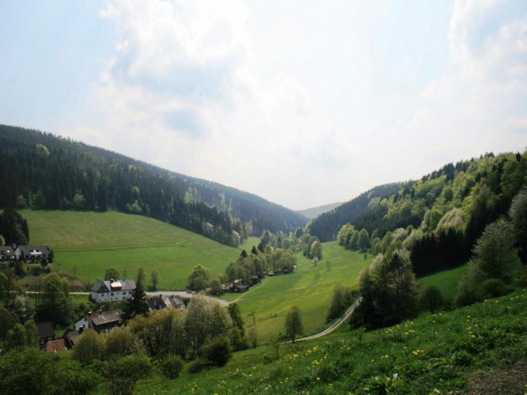 Large Holiday Home In Willingen With Private Garden And Several Terraces Eksteriør billede