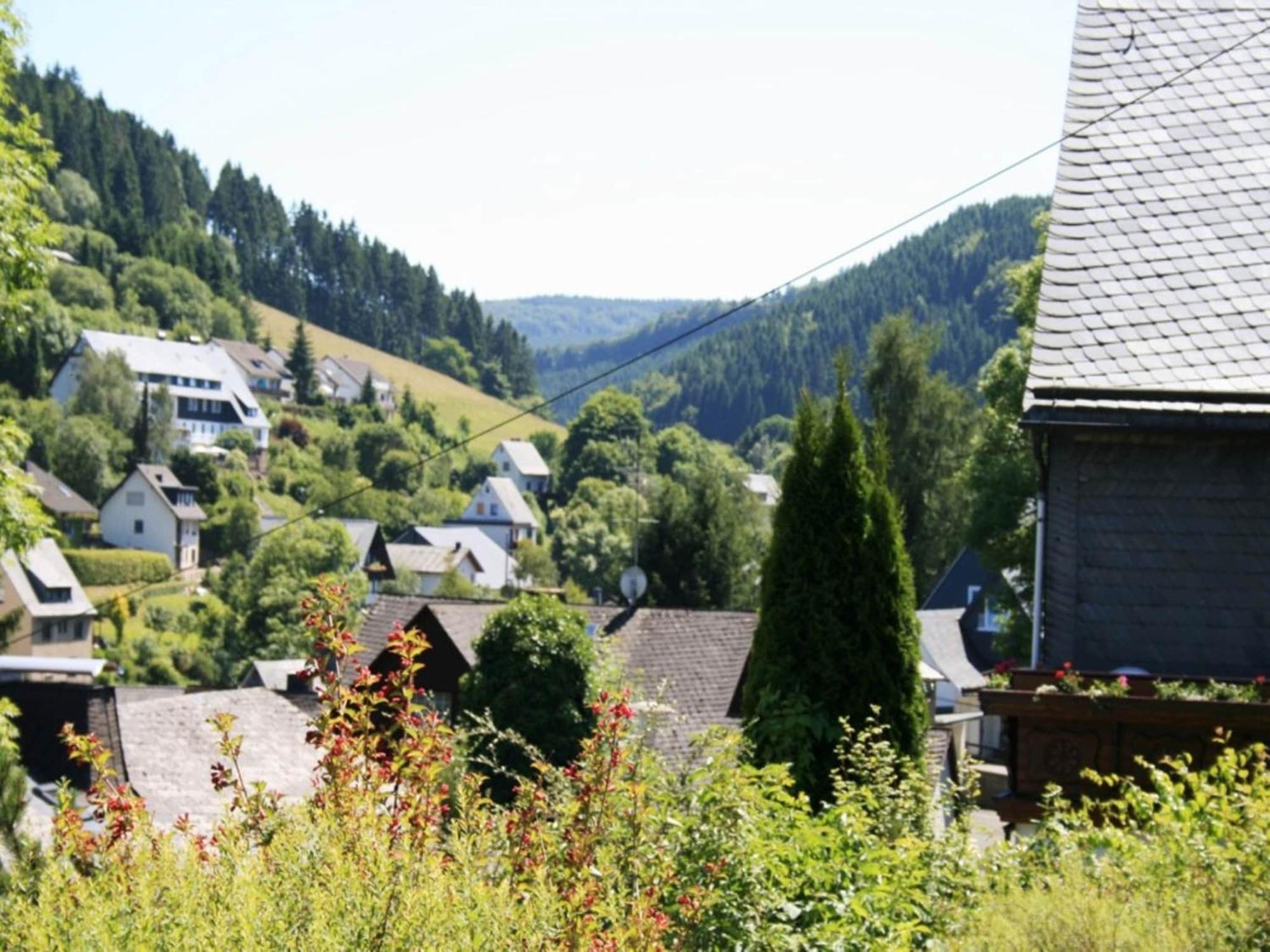Large Holiday Home In Willingen With Private Garden And Several Terraces Eksteriør billede