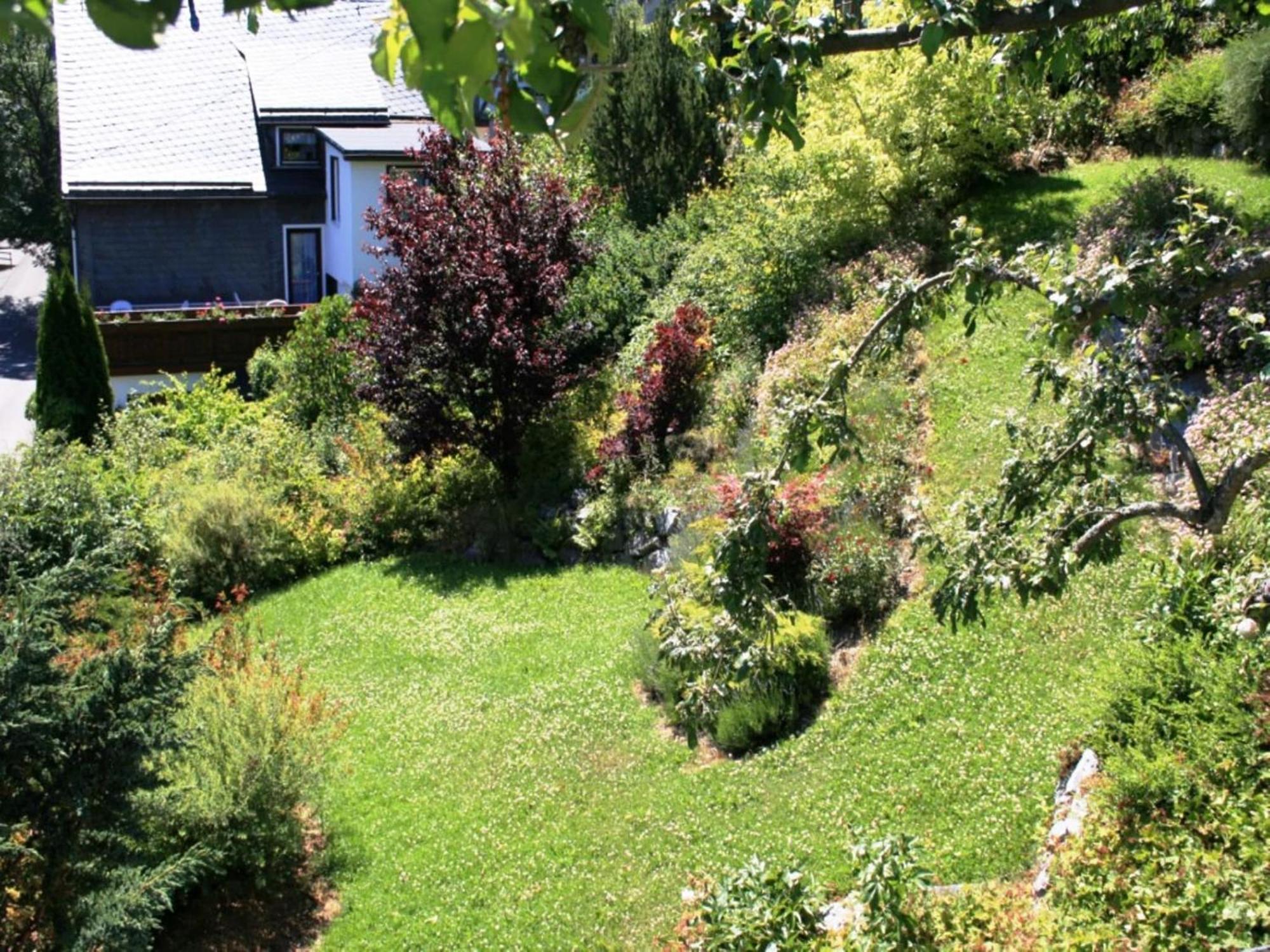 Large Holiday Home In Willingen With Private Garden And Several Terraces Eksteriør billede