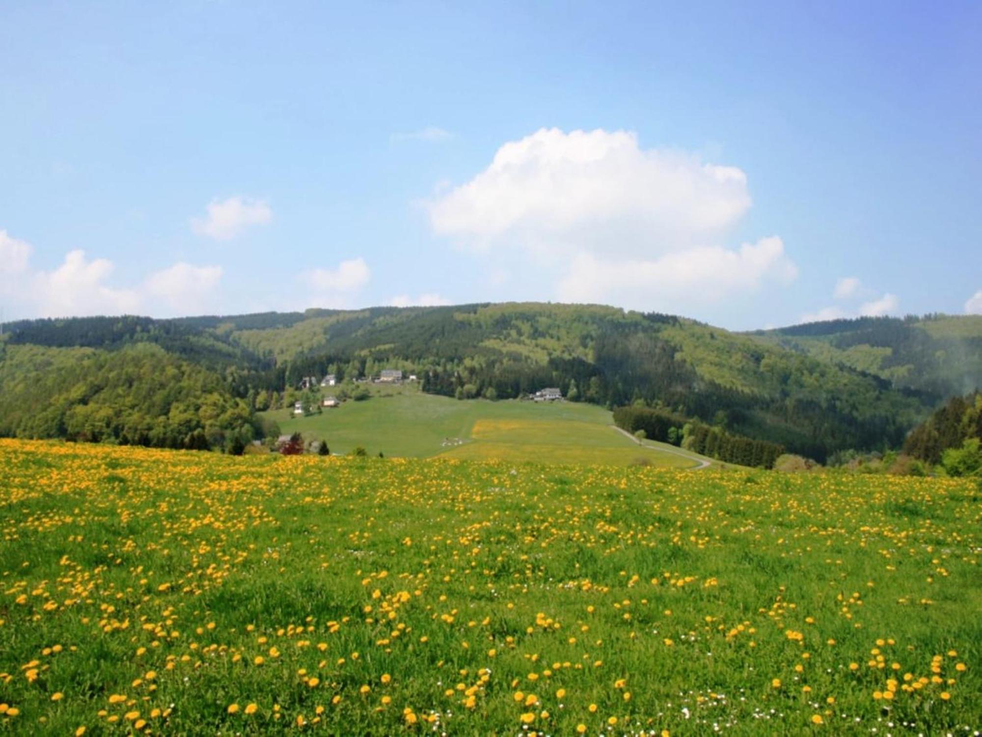 Large Holiday Home In Willingen With Private Garden And Several Terraces Eksteriør billede