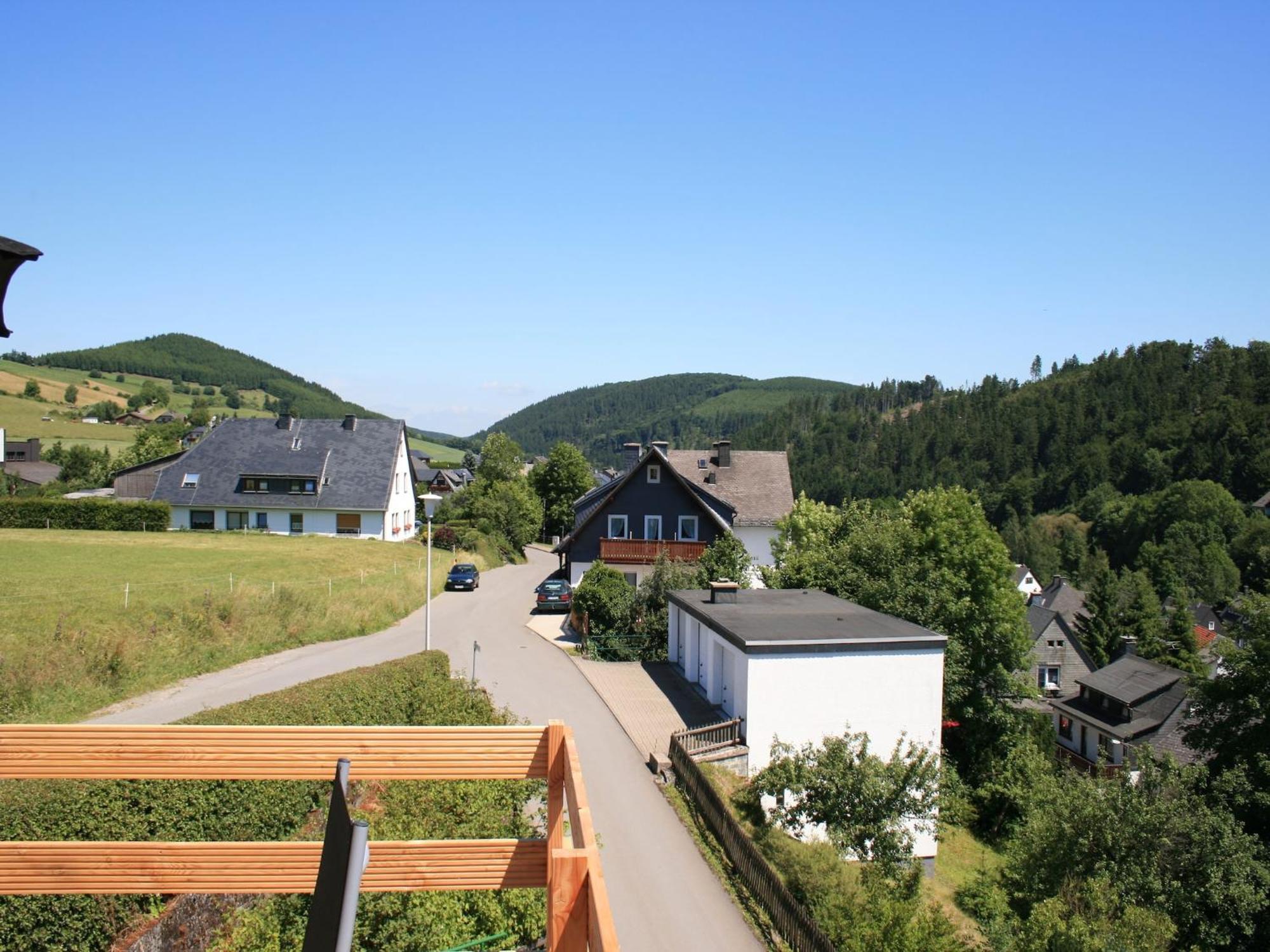 Large Holiday Home In Willingen With Private Garden And Several Terraces Eksteriør billede