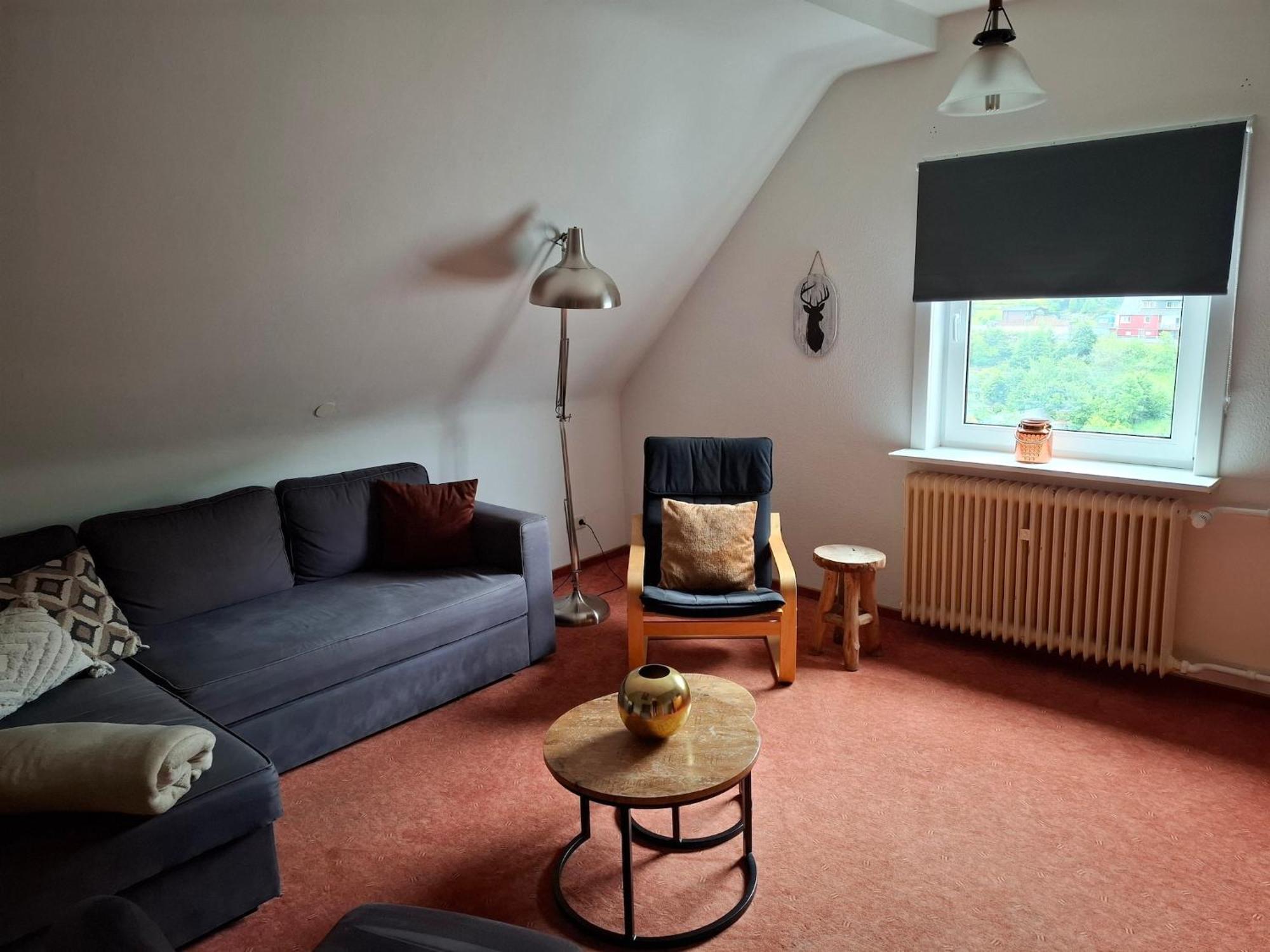 Large Holiday Home In Willingen With Private Garden And Several Terraces Eksteriør billede